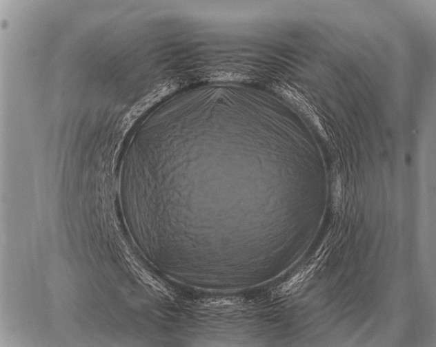 X0000087710721200705181844