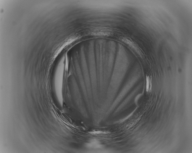 X0000087710723200705181844