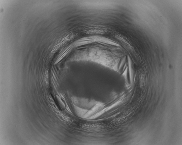 X0000087710729200705181844