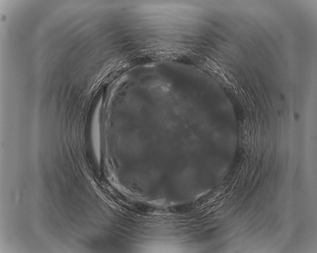 X0000087710742200705181844