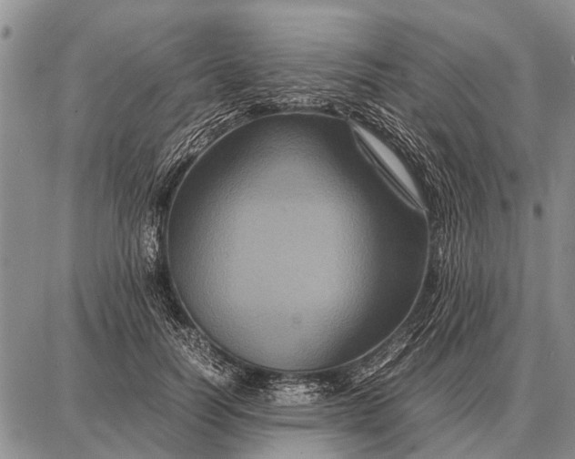 X0000087710746200705181844