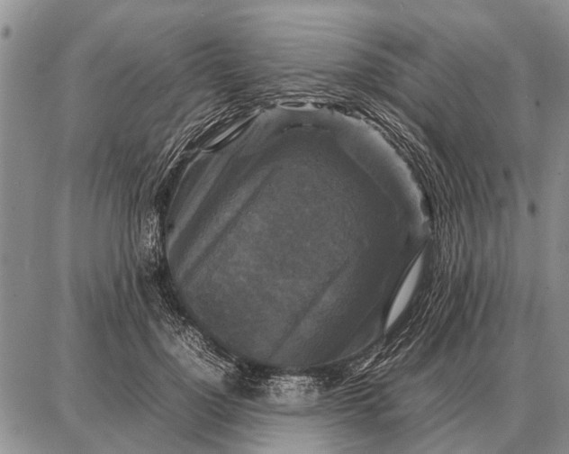 X0000087710748200705181844