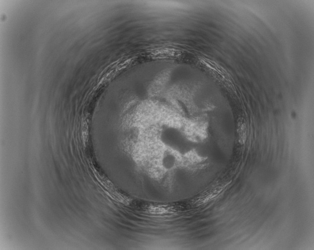 X0000087710753200705181844