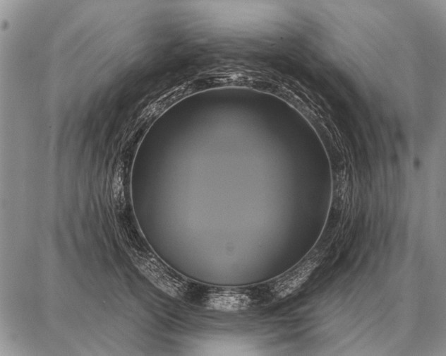 X0000087710754200705181844