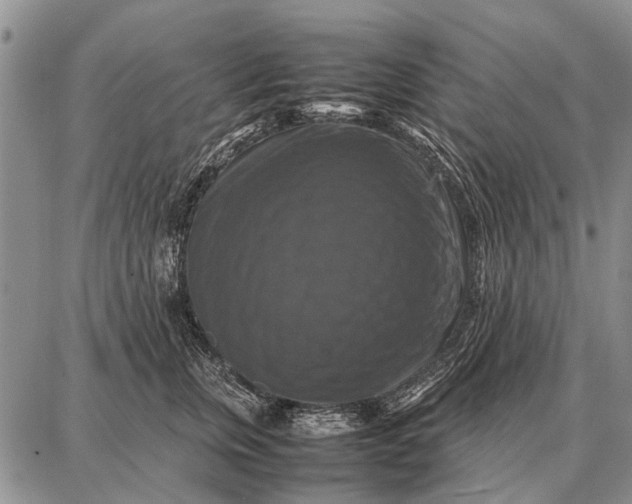 X0000087710759200705181844