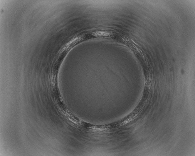 X0000087710763200705181844