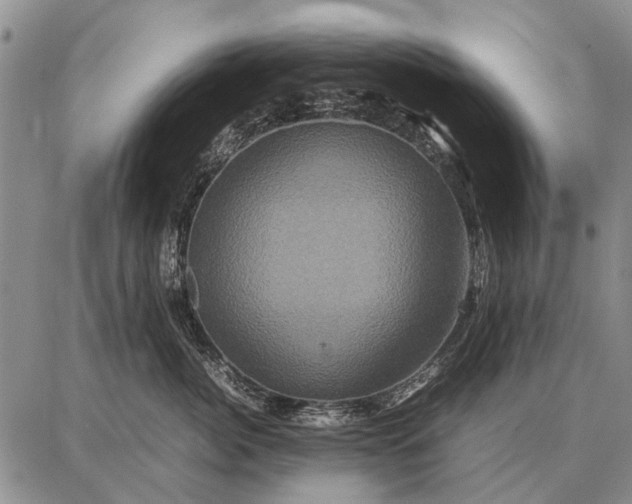 X0000087710764200705181844