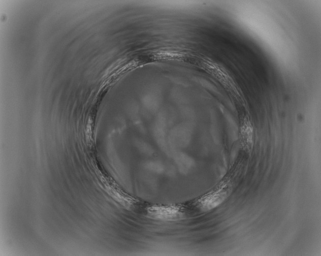 X0000087710765200705181844
