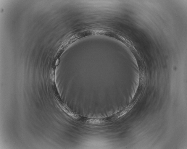 X0000087710766200705181844