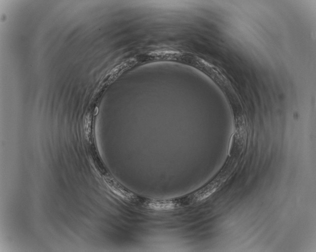 X0000087710767200705181844