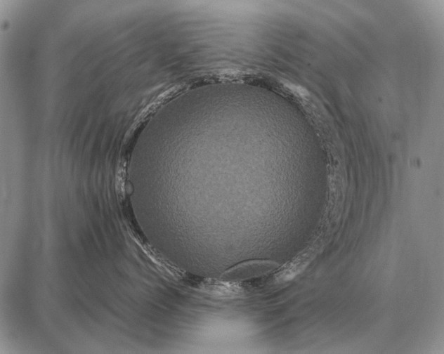 X0000087710768200705181844