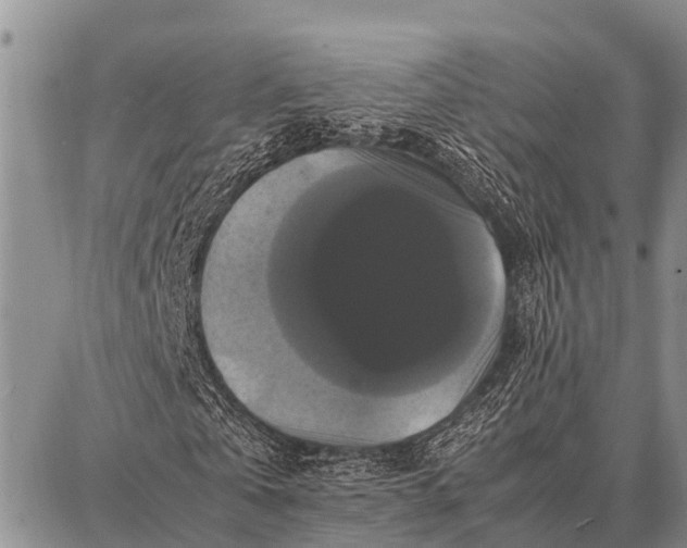 X0000087710769200705181844