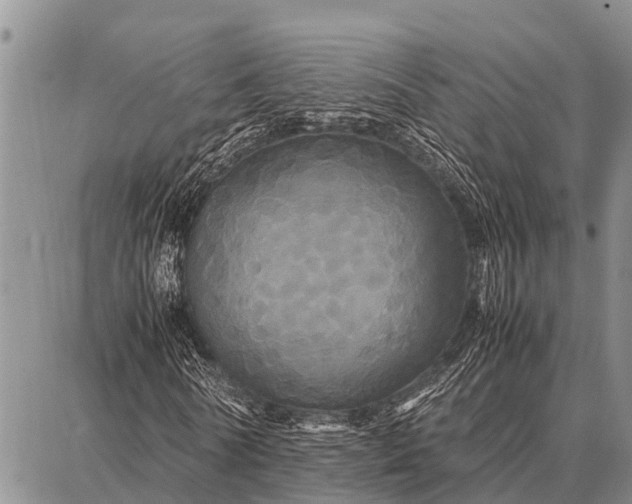X0000087710770200705181844