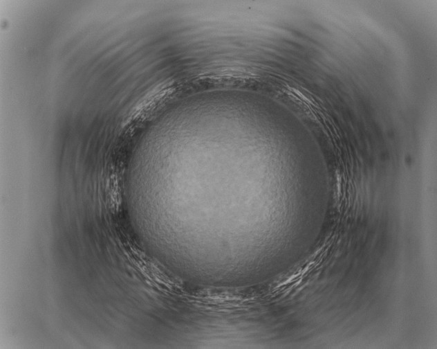 X0000087710774200705181844