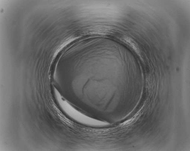 X0000087710779200705181843