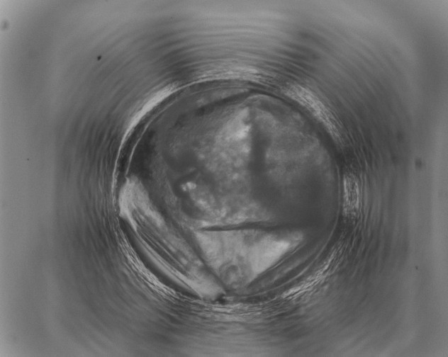 X0000087710780200705181843