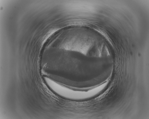 X0000087710783200705181843