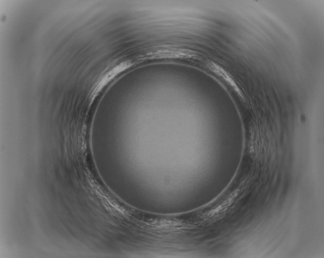 X0000087710786200705181843