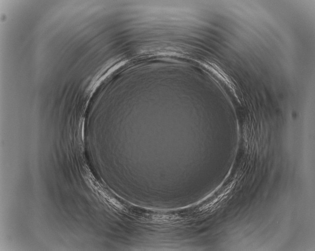 X0000087710790200705181843
