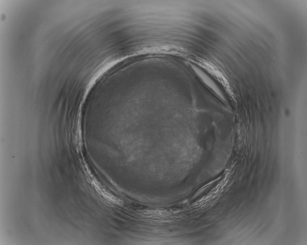X0000087710792200705181843