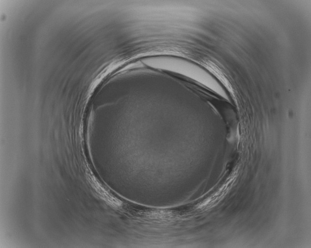 X0000087710797200705181843