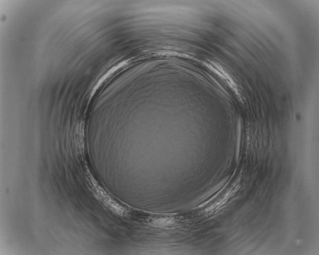 X0000087710798200705181843
