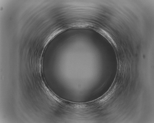 X0000087710802200705181843