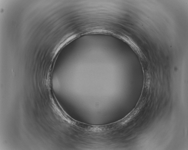 X0000087710806200705181843