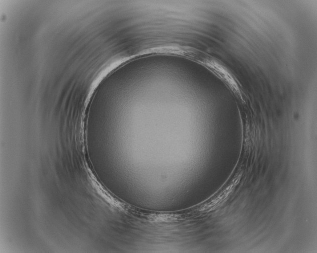 X0000087710808200705181843