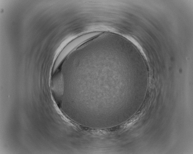 X0000087710815200705181843