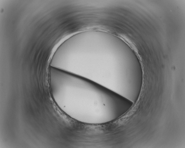 X0000087710816200705181843