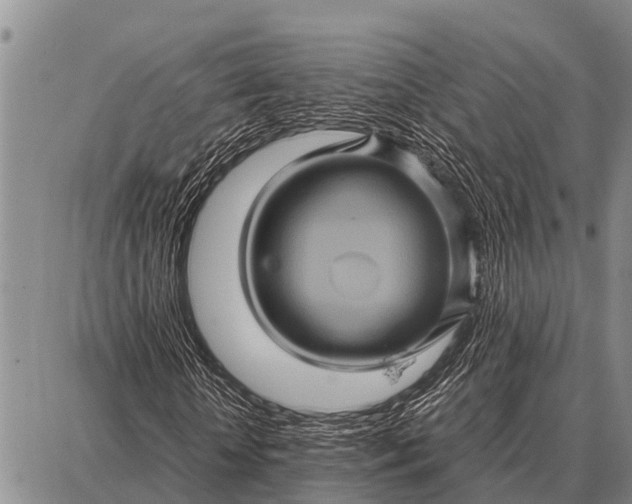 X0000087710818200705181842