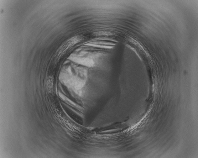 X0000087710825200705181842