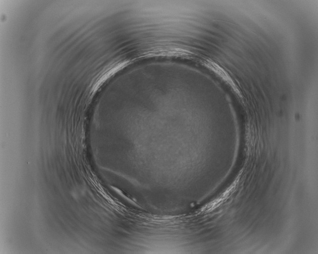 X0000087710826200705181842