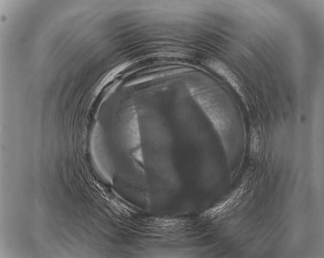 X0000087710829200705181842