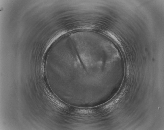 X0000087710835200705181842