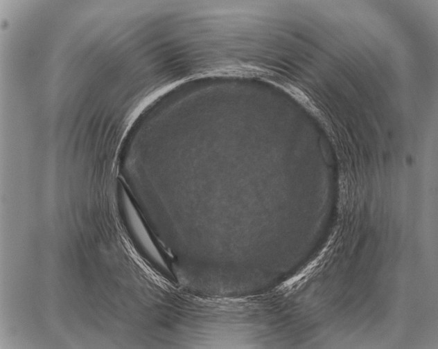 X0000087710838200705181842