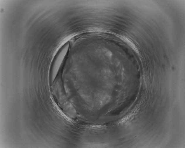 X0000087710839200705181842