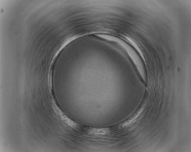 X0000087710843200705181843