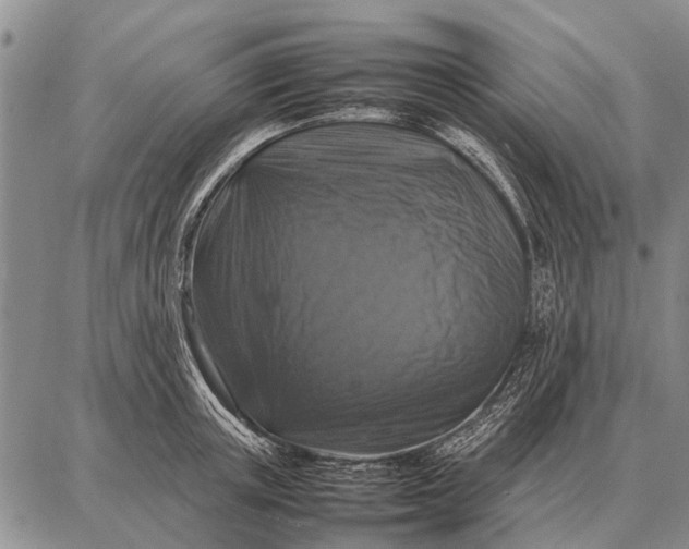 X0000087710851200705181843