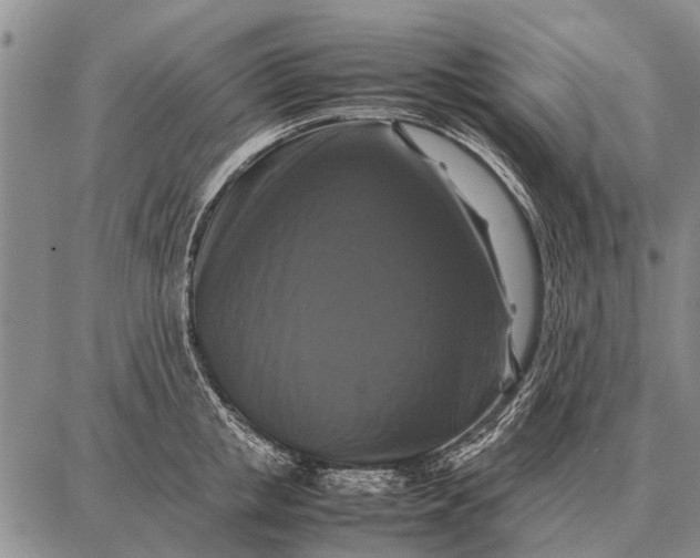 X0000087710853200705181843
