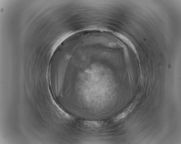 X0000087710855200705181843