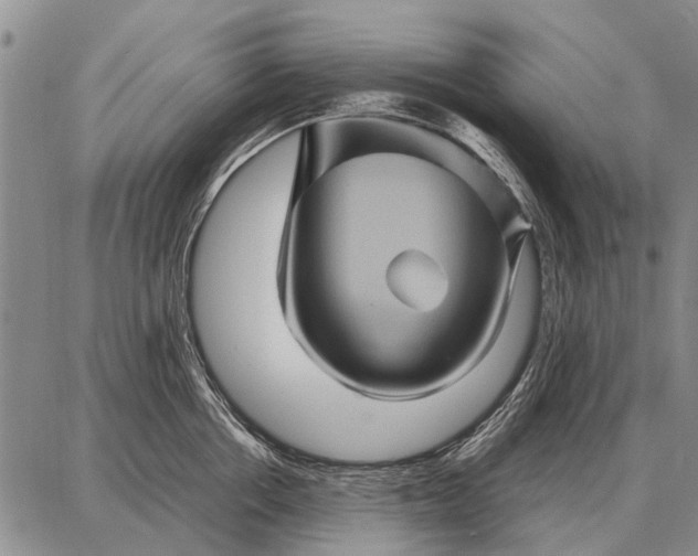 X0000087710858200705181843