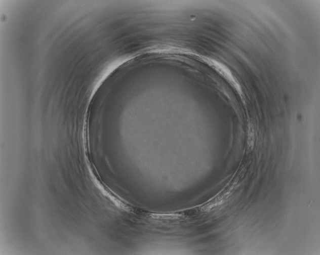 X0000087710863200705181843
