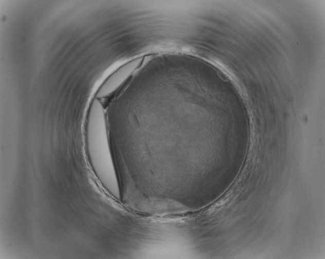 X0000087710864200705181843