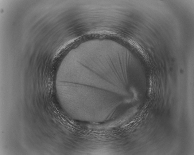 X0000087710872200705181842