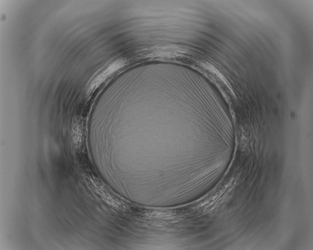 X0000087710874200705181842