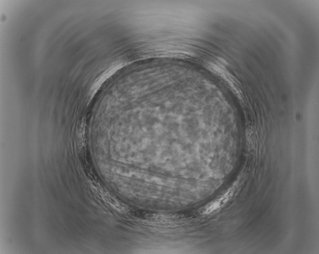 X0000087710875200705181842