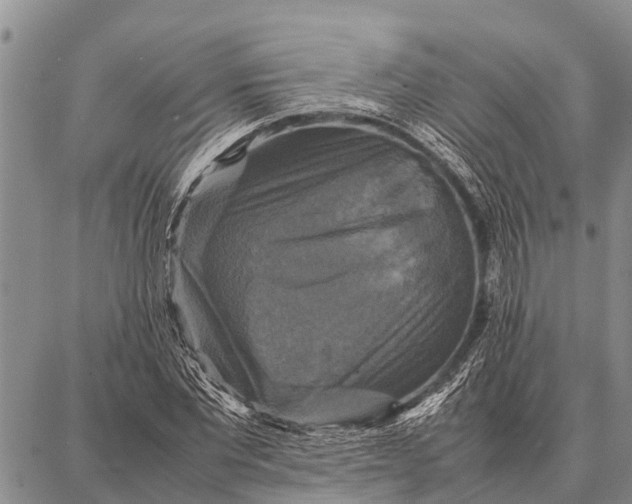 X0000087710877200705181842
