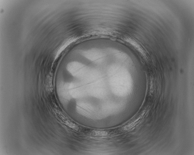 X0000087710878200705181842